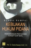 Bunga Rampai Kebijakan Hukum Pidana : Perkembangan Penyusunan Konsep KUHP Baru