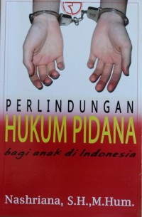 PERLINDUNGAN HUKUM PIDANA, Anak Di Indonesia